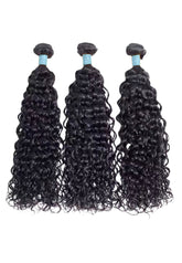 Pure Water Wave Bundle Deal